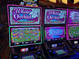 bwin casino